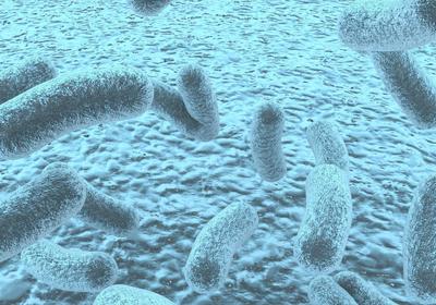 5 Signs of candida overgrowth