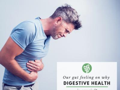Our Gut Feeling on Why Digestive Health Is Crucial!