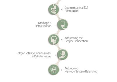 Detox Pathways: The Key to Healing Autoimmune Conditions and Lyme Disease