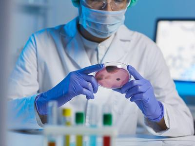 Parasites: more common than you might like to think