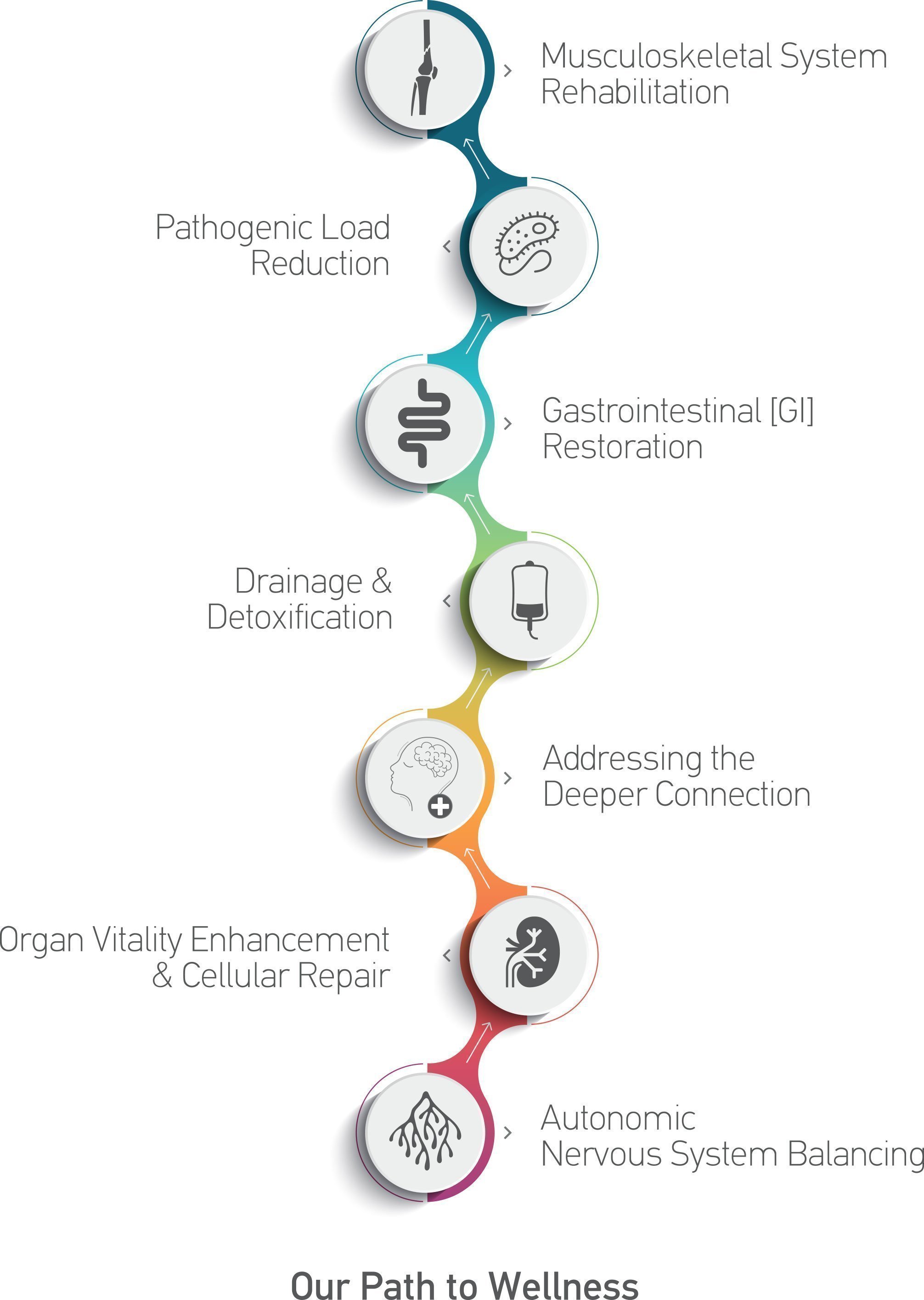 our path to wellness