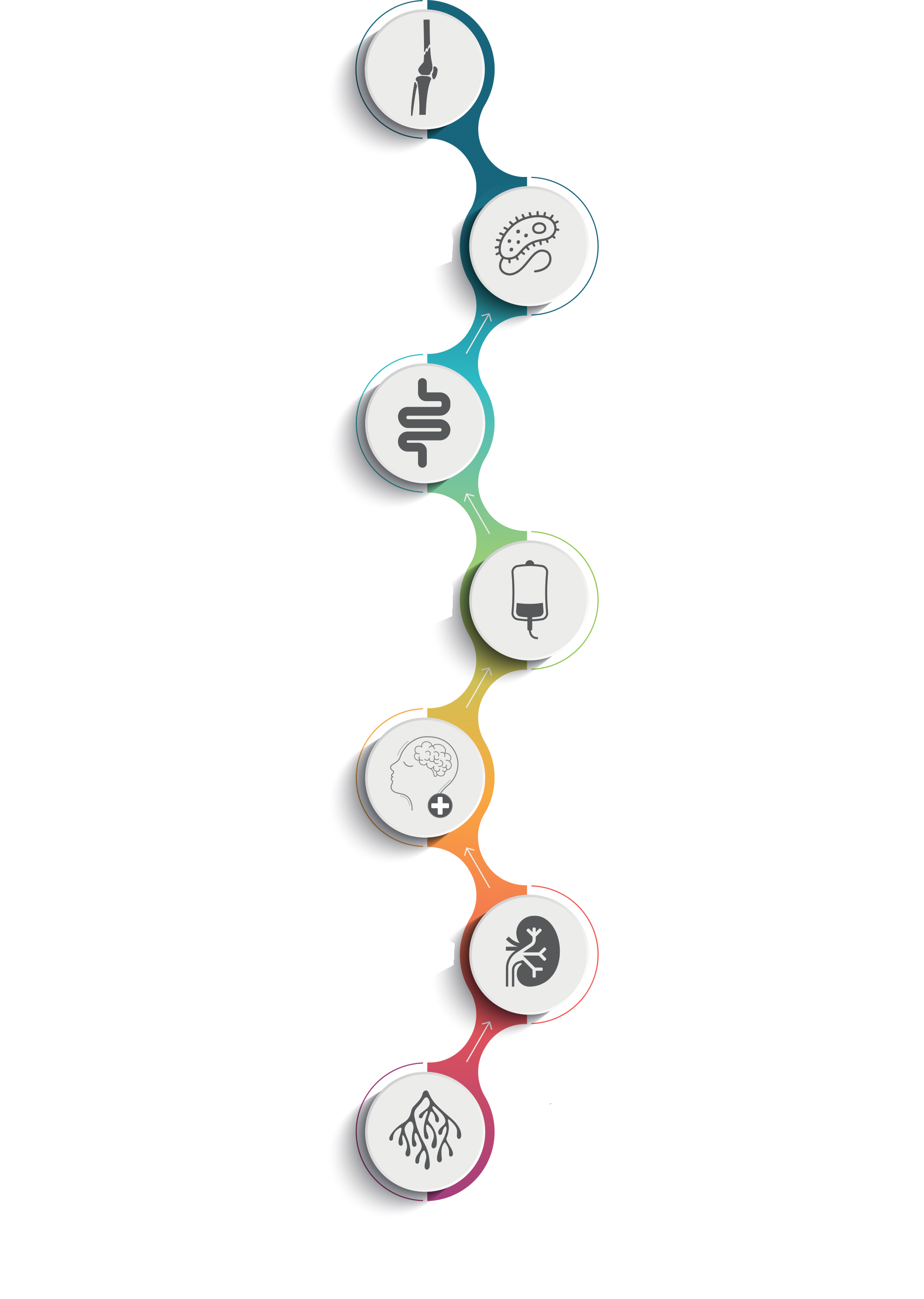our path to wellness