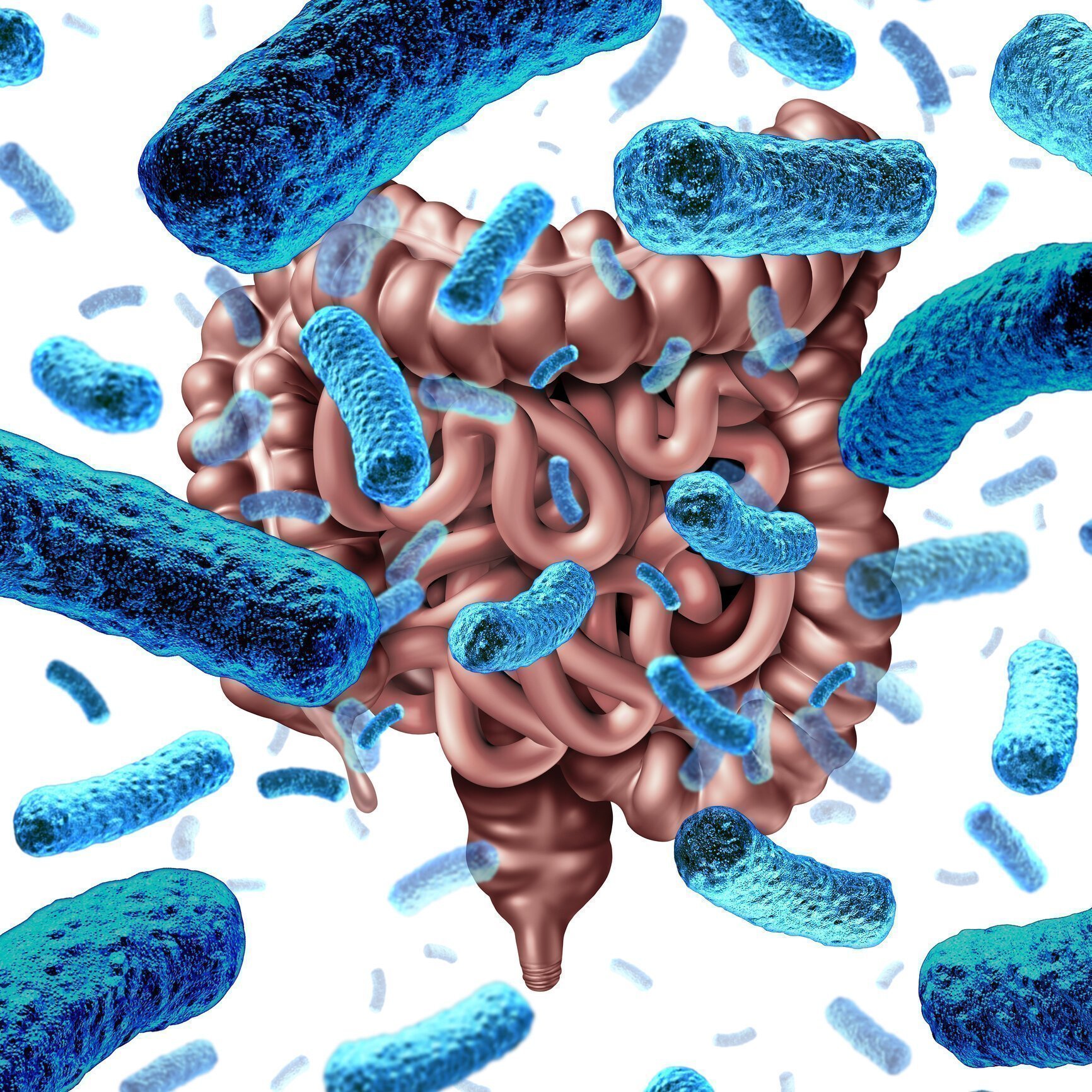 The gut, the bad and the ugly