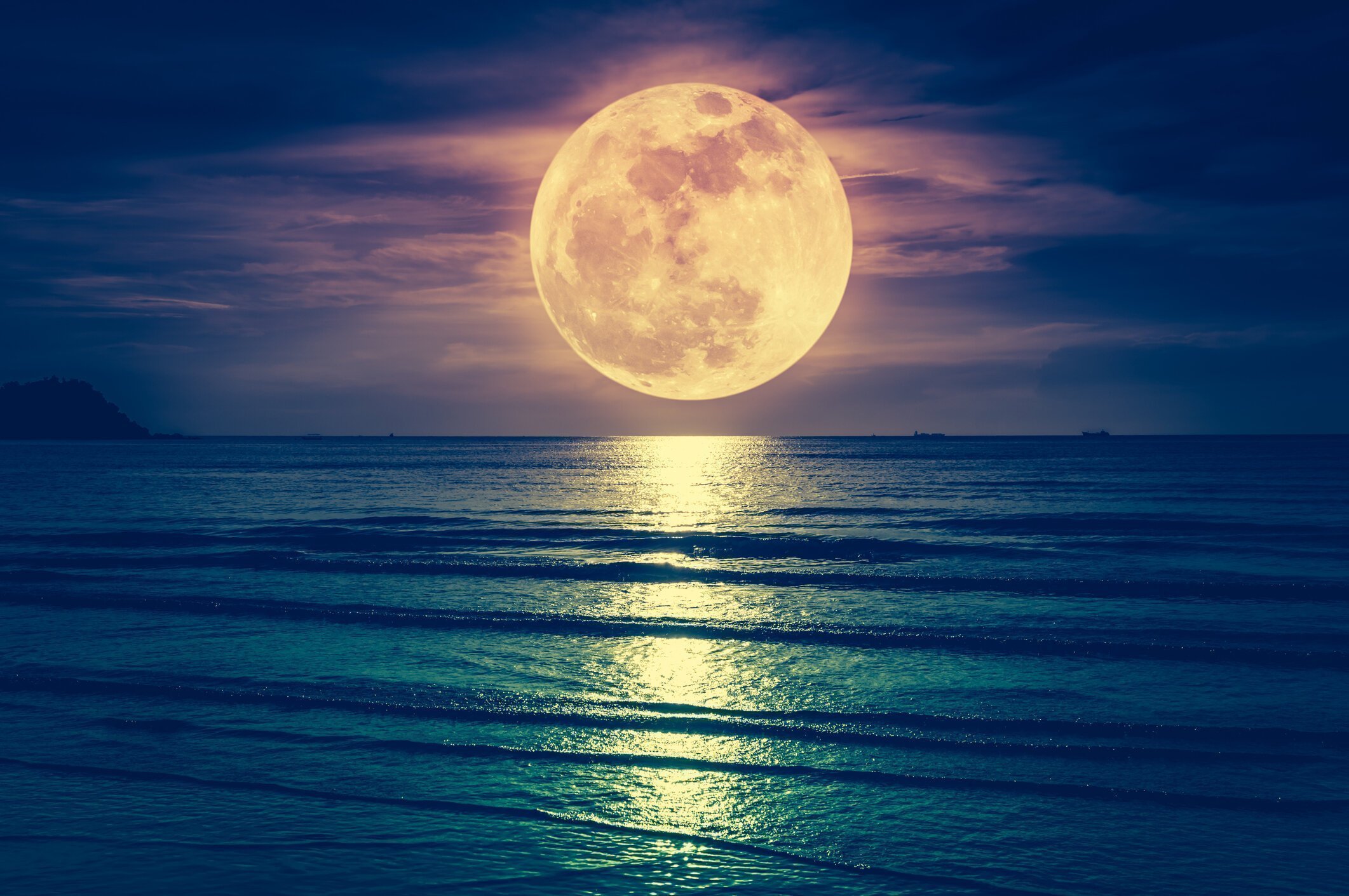 The Effects of the Full Moon on Parasites
